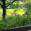 Blick aus dem Waldgebiet, in dem es gebrannt hat, auf das Sportzentrum Wollmatingen.
