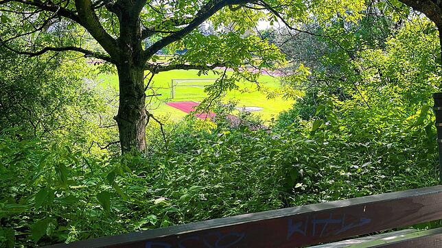 Blick aus dem Waldgebiet, in dem es gebrannt hat, auf das Sportzentrum Wollmatingen.