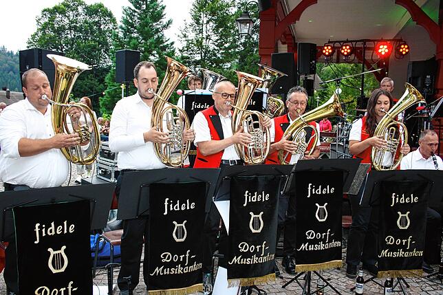 Die fidelen Dorfmusikanten