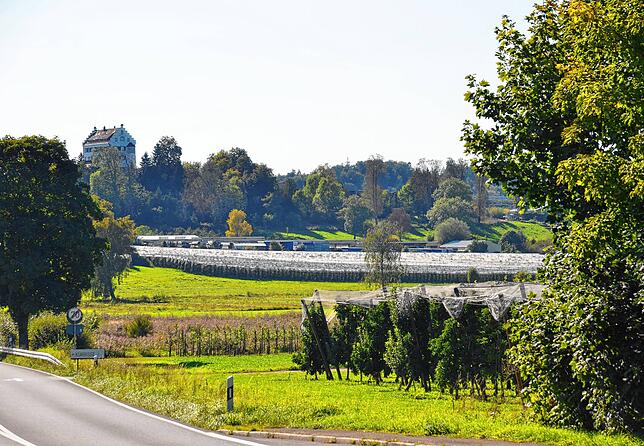 Hagelnetze gehören auch um Markdorf längst zum Landschaftsbild – künftig kommen auch PV-Module hinzu.