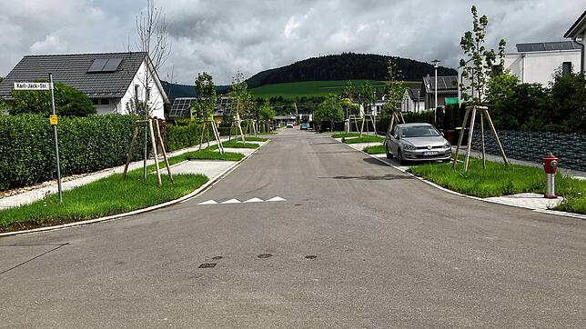 Die Hermann-Schäufele-Straße im Geisinger Baugebiet Große Breite liegt in einer Tempo-30-Zone. Hier wird oft zu schnell gefahren und ...
