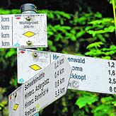 Der Schwarzwald ist ein Paradies für Wanderer. 24.000 Kilometer sind ausgeschildert.