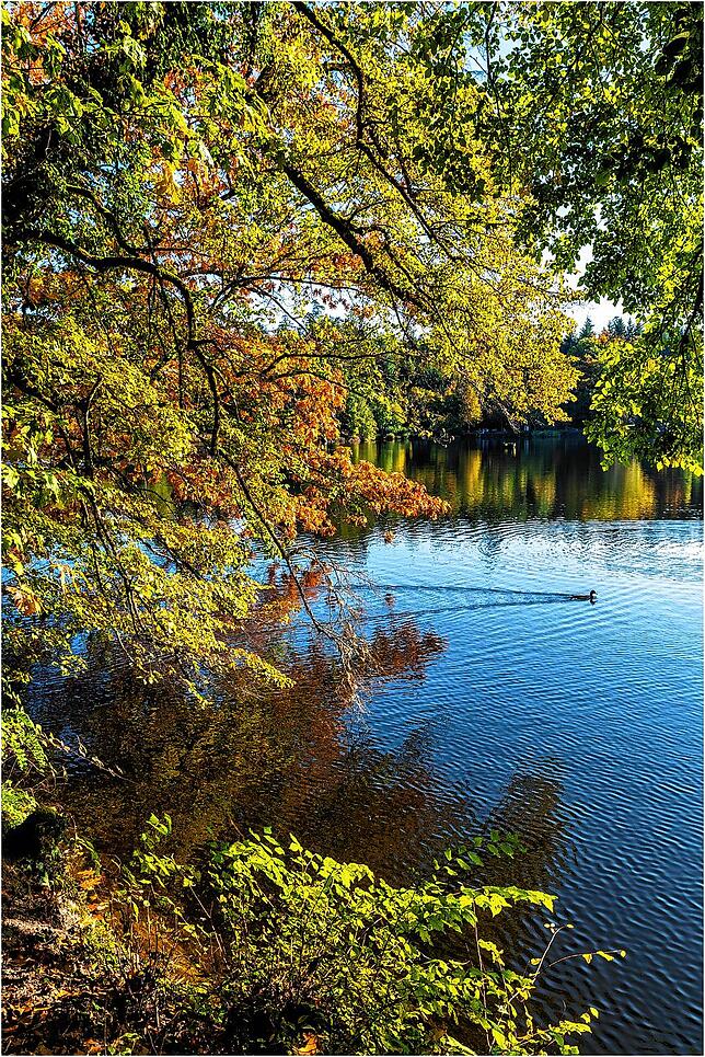 Bild 16: So schön ist der goldene Oktober: Leserreporter zeigen ihre schönsten Herbst-Impressionen