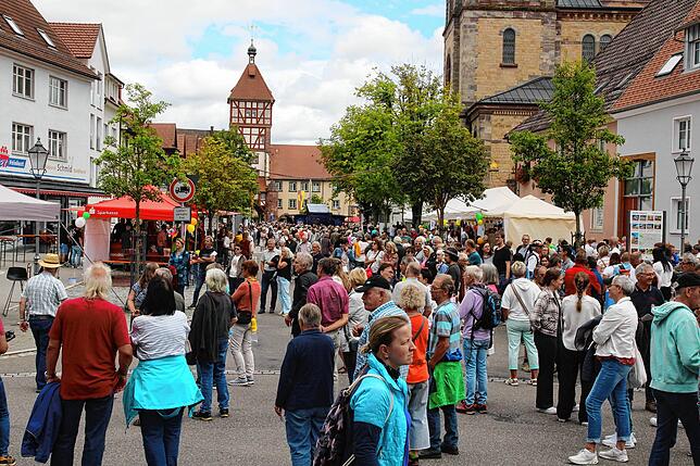 Bild 4: Bilder vom Straßenmusiksonntag-Finale