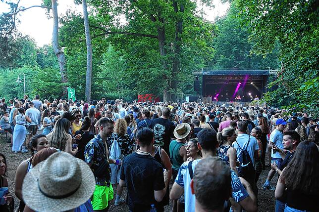 Bild 37: Konstanzer feiern bei Elektro-Liebe im Wald am Hörnle – hier gibt‘s die Bilder
