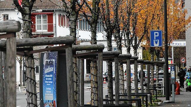 Bringt Kreuzlingen mehr Laub in die Stadt? In der Konstanzerstraße reiht sich ein neuer Baum an den anderen. Das wünschen sich auch ...