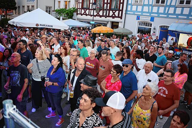 Bild 5: So schön war es auf dem Schweizer Feiertag in Stockach