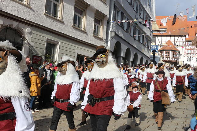 Bild 14: So schön war der Fasnetmäntig-Umzug in Pfullendorf (3)