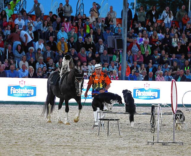 Bild 19: So spektakulär war der Showabend beim Fest der Pferde