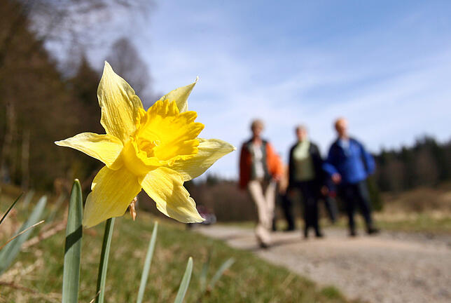 Die Osterzeit ist der perfekte Moment, um in die Natur einzutauchen und neue Wanderwege zu entdecken.