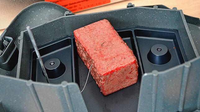 Mit Ködern versucht die Stadt seit Jahren des Rattenproblems Herr zu werden. Bild: Philipp Brodbeck