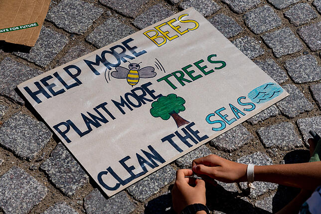 Helft den Bienen, pflanzt mehr Bäume und macht die Meere sauber: Ein „Fridays for Future“-Plakat Anfang August, anlässlich ...