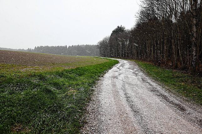 Der Forstweg am Walkebuck hat durch den illegalen Schleichverkehr ziemlich gelitten.