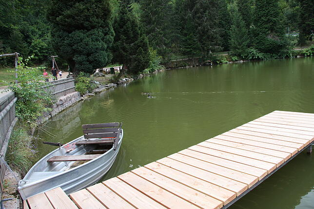 Hohe Temperaturen und niedriger Sauerstoffgehalt des Wassers machen den Fischen derzeit in den heimischen Gewässern zu schaffen. Sicher ...