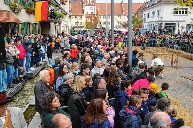 Bild 3: Hier sind die besten Bilder vom Bierfassrollen in Bräunlingen