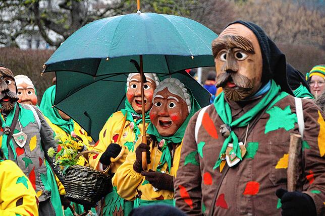 Bild 4: Bilder vom Kleggau-Narrentreffen