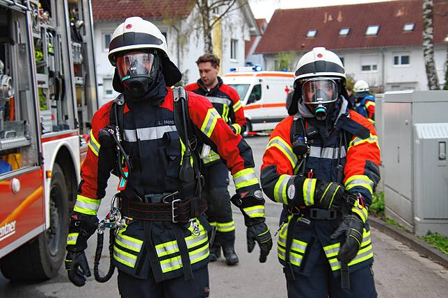 Bild 2: Rauchwolke über dem Hohentwiel: Feuerwehr bekämpft einen Werkstatt-Brand