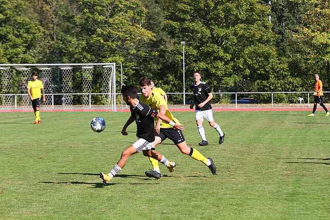 Bild 35: SV 08 Laufenburg gewinnt gegen den FV Herbolzheim mit 4:2 &ndash; und wir haben die Bilder!!!