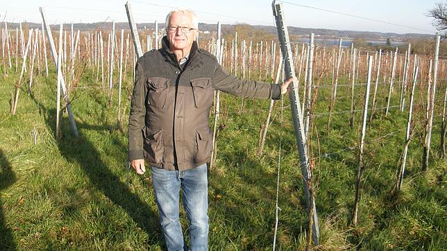 Max Uricher war 45 Jahre lang der Geschäftsführer der Reichenauer Rebenaufbau- und Weinbaugenossenschaft. Er hat den Weinbau auf der ...