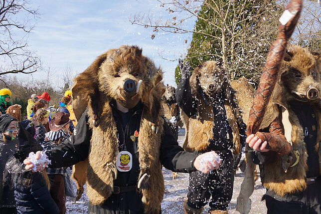 Bild 24: Küssaberger Narrentreffen 2025: Rheinheim feiert Fasnacht