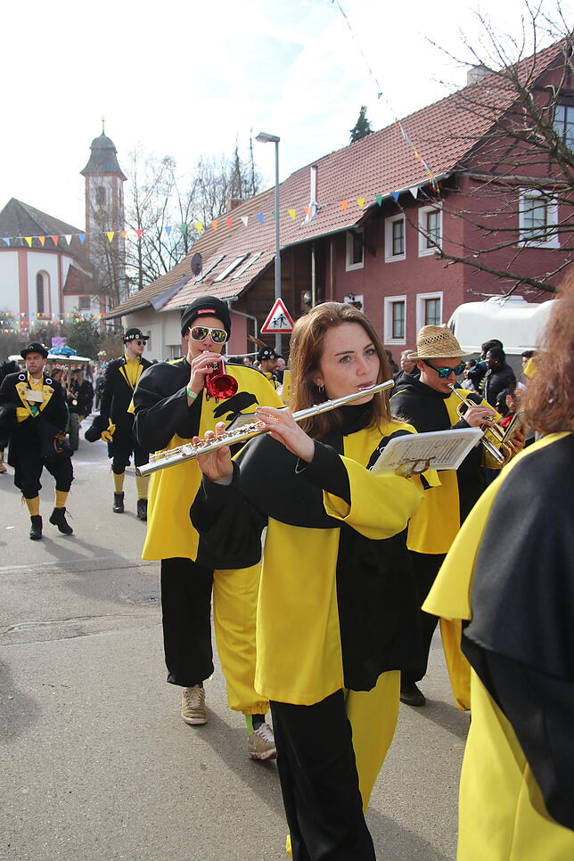 Bild 17: Bilder zum Narrentreffen in Schwerzen (1)