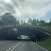 &bdquo;Führ die Tire von mir&ldquo;: Ein Schriftzug auf der B31 zwischen Stockach und Überlingen sorgt für Aufmerksamkeit- aber warum?