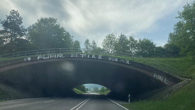 &bdquo;Führ die Tire von mir&ldquo;: Ein Schriftzug auf der B31 zwischen Stockach und Überlingen sorgt für Aufmerksamkeit- aber warum?