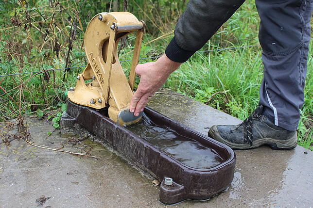 Wasserversorgung per Pumpe: Wird eine Kuh durstig, betätigt sie mit ihrer Schnauze das Gerät. Dadurch wird frisches Wasser von der ...