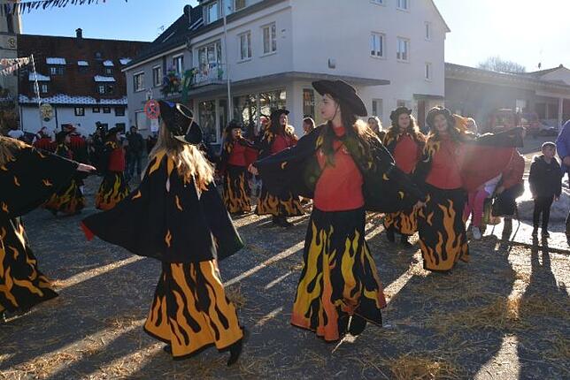 Bild 33: Bilder vom Narrentreffen der Urviecher-Zunft Bad Dürrheim: Großer Festumzug (5)
