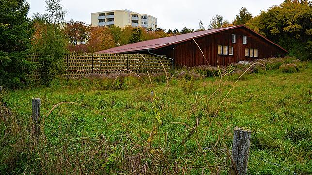 Auf diesem Gelände an der Mesmerstraße, auf dem bisher nur eine Lagerhalle steht, will der Winzerverein seine neue Kelterei errichten. ...