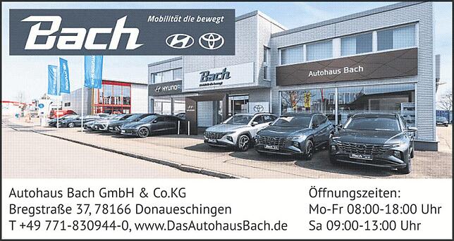 Bild 4: VOS Donaueschingen: Autosalon zeigt Innovationen