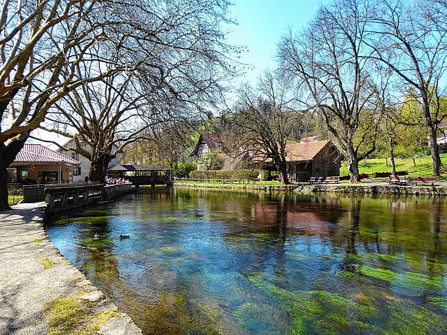Glasklares Wasser und saftig grünes Seegras: Am Aachtopf in Aach zeigt sich die Natur von ihren schönsten Seiten.