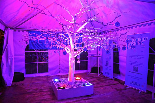 Bild 2: Insel Mainau: Bilder vom Start des Christmas Garden 2023 - Teil 1