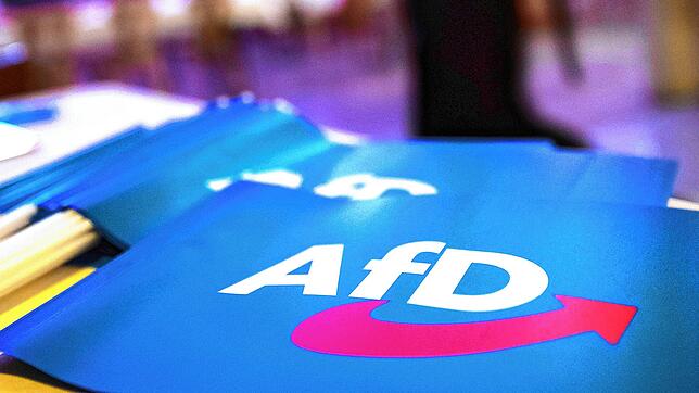 Fähnchen mit dem Logo der AfD liegen auf einem Tisch.