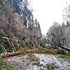 Unwetter: Sturmtief &bdquo;Sabine&ldquo; sorgte schon am 10. Februar dafür, dass Schulen und Kindergärten geschlossen blieben.