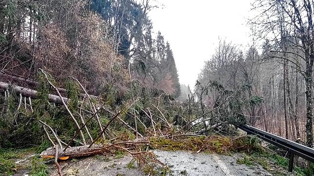 Unwetter: Sturmtief &bdquo;Sabine&ldquo; sorgte schon am 10. Februar dafür, dass Schulen und Kindergärten geschlossen blieben.