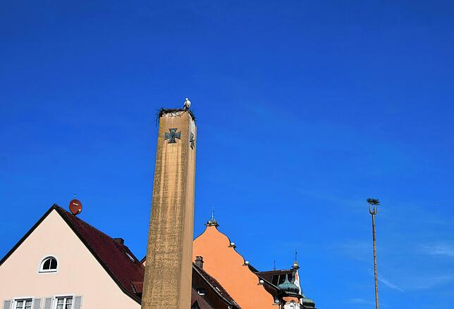 Bild 9: &bdquo;Ohhh, guck, d&lsquo; Storch isch da!&ldquo; Die Stockacher freuen sich, dass Hans wieder im Nest in der Oberstadt klappert