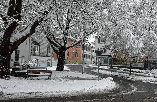 Bild 24: Die schönsten Bilder vom verschneiten Markdorf