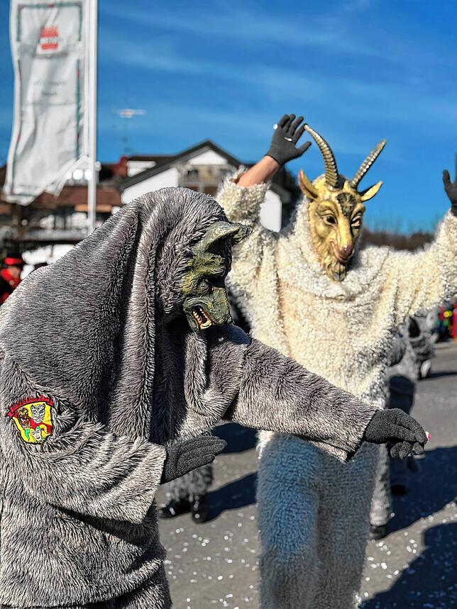 Bild 18: Fasnacht 2025: Alle Bilder vom Gemeinschaftsumzug in Mühlhofen
