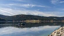 Während sich der Schluchsee wie auf dem Bild harmonisch in die zauberhafte Schwarzwald-Landschaft eingebettet präsentiert, glich das ...