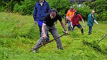 Synchrones Mähen beim Mähwettbewerb in Bernau. Eine besondere Herausforderung stellte das nasse, schwere und durch den Regen leicht ...