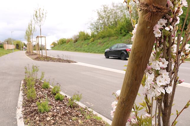 Fahrbahn verschmälert, Grünstreifen angelegt und den Radfahr- und Fußgängerverkehr von Autos und Lastwagen getrennt: Die erste ...