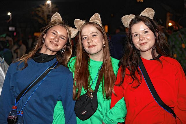 Bild 26: Nachtumzug Möggingen 2025: Fasnacht in Bildern – 30 Gruppen in voller Pracht