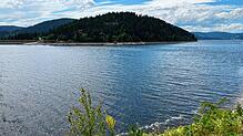 Der Schluchsee beherbergt viele verschiedene Fischarten wie die Forelle, den Barsch oder den Hecht. Alle müssen mit dem wenigen Wasser ...