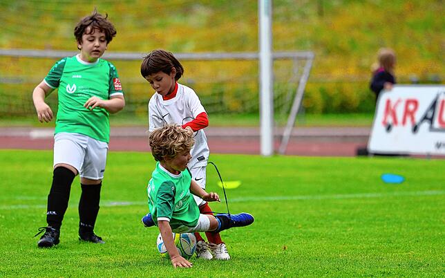 Bild 7: Unsere große Bildergalerie vom Bambini-Turnier beim Schlossseecup des FC RW Salem