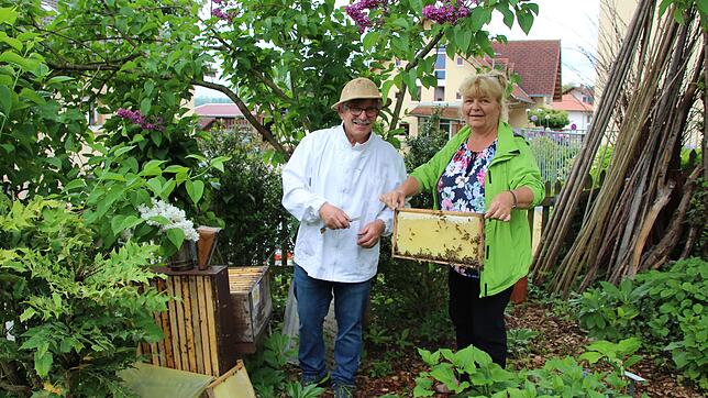 Durch die ökologische Bewirtschaftung durch den Schwarzwaldverein entstand im Schürgarten ein für viele Tierarten wichtiges Biotop (von ...