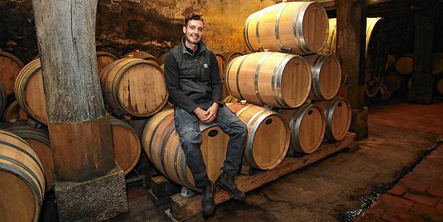Bild 11: Ab in den Keller! Hier werden in Konstanz die Trauben in Wein verwandelt