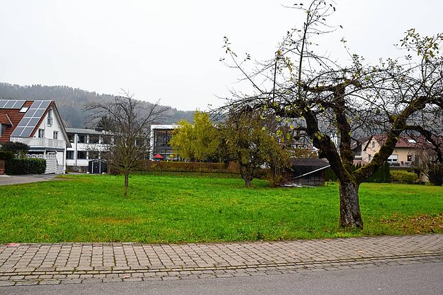 Der Gemeinde gehört dieses Wiesengrundstück an der Talstraße. Es grenzt an die Sernatingenschule (Hintergrund).