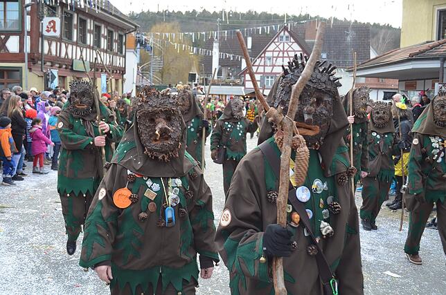Bild 45: Eigeltinger Narrentage: Der Sonntagsumzug in Bildern (3)