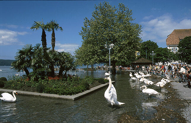 Bild 16: Pfingsthochwasser 1999: Das Jahrhundertereignis in Bildern